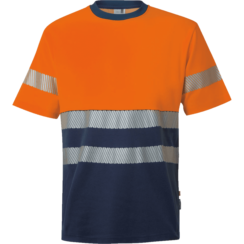 305509_61_19_1 plp nb.png